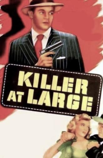 Killer at Large (1947)