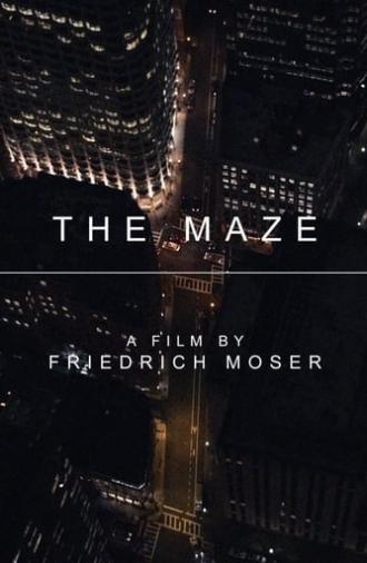 The Maze (2017)