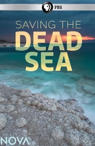 Saving the Dead Sea (2019)