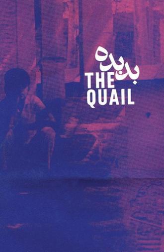 The Quail: The Tale of a Boy Who Asks (1970)