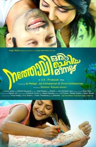 Natholi Oru Cheriya Meenalla (2013)