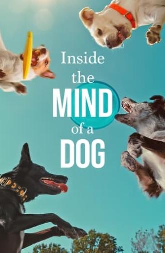 Inside the Mind of a Dog (2024)