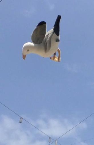 Double Jump (2024)
