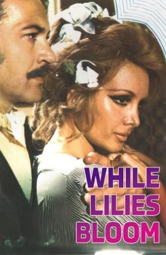 While Lilies Bloom (1973)