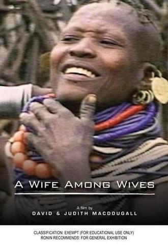 A Wife Among Wives (1981)