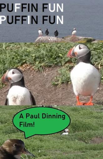 Puffin Fun (2024)