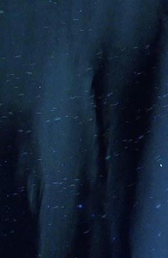 The Seasons (2008)