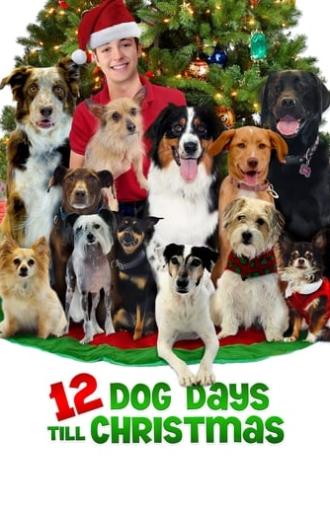 12 Dog Days Till Christmas (2014)