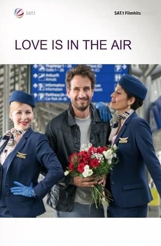 Love is in the air (2017)