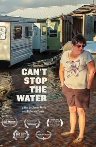 Can't Stop the Water (2013)