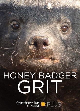 Honey Badger: Grit (2018)