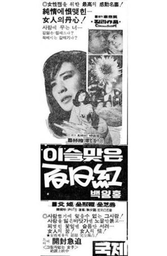 A Crape-Myrtle with Morning Dew (1970)