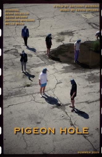 Pigeon Hole (2025)