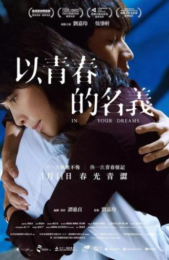 In Your Dreams (2017)