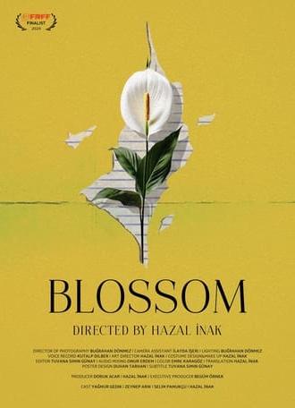 Blossom (2024)