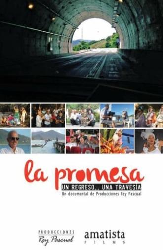 La promesa (2014)