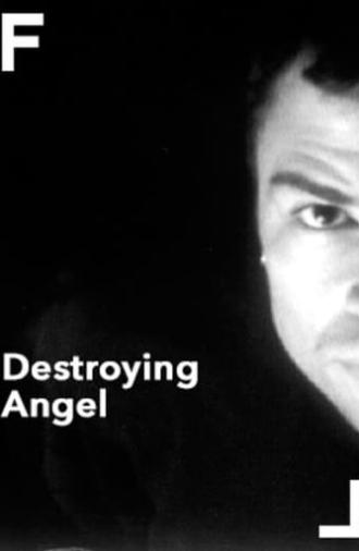 Destroying Angel (1998)