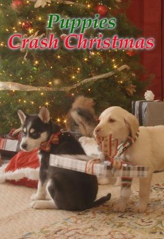 Streaming Wonderland: Puppies Crash Christmas (2017)
