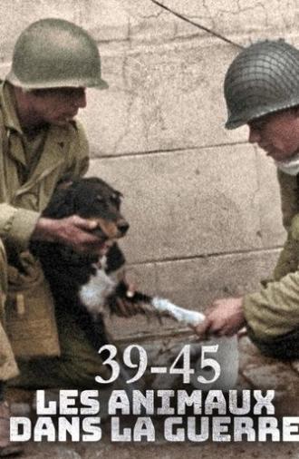 Animals at War, Wild Heroes of World War II (2019)