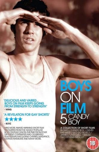 Boys On Film 5: Candy Boy (2010)