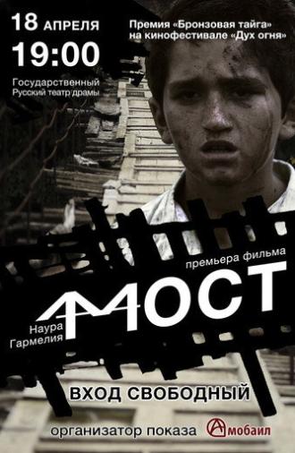 The Bridge (2015)