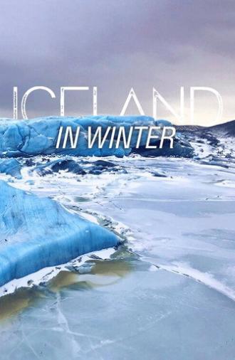 Iceland in Winter (2018)