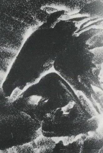 Herd (1999)
