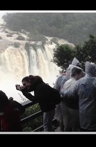 Cinema is all over (2013)