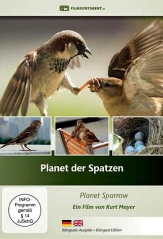 Planet der Spatzen (2017)