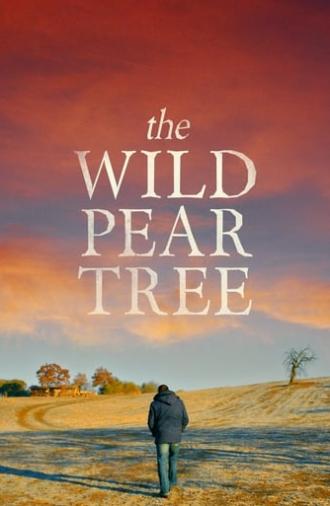 The Wild Pear Tree (2018)