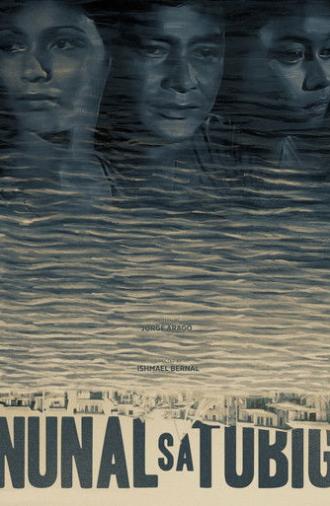 A Speck in the Water (1976)