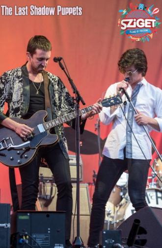The Last Shadow Puppets at Sziget Festival (2016)