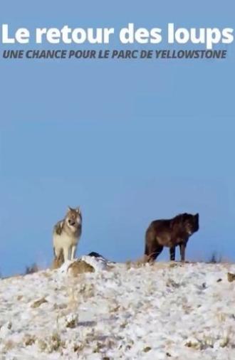 The Return of the Wolves: The Miracle in Yellowstone National Park (2017)