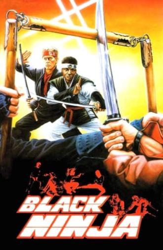 Ninja: Silent Assassin (1987)