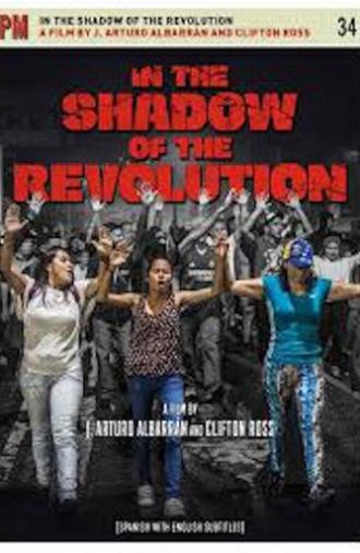 In the Shadow of the Revolution (2017)
