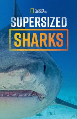 Supersized Sharks (2024)