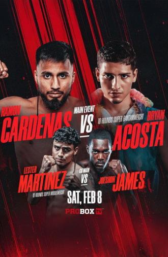 Ramon Cardenas vs. Bryan Acosta (2025)