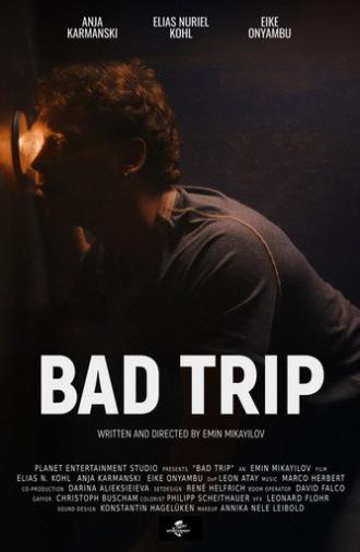 Bad Trip (2025)