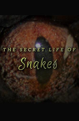 The Secret Life of Snakes (2016)