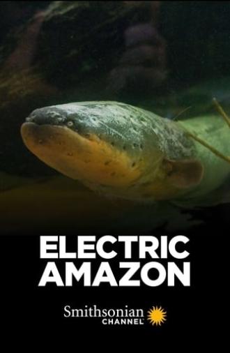 Electric Amazon (2015)