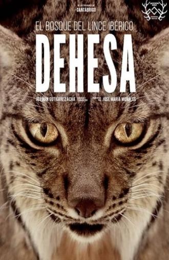 Dehesa: The Forest of the Iberian Lynx (2020)