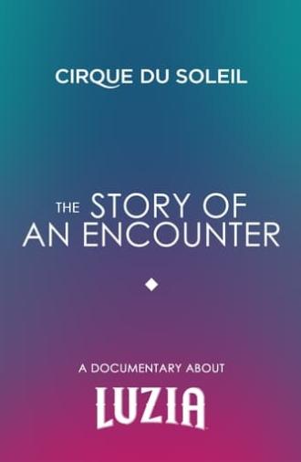 The Story Of An Encounter (2016)