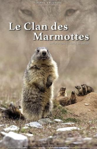 A Marmot's Life (2021)