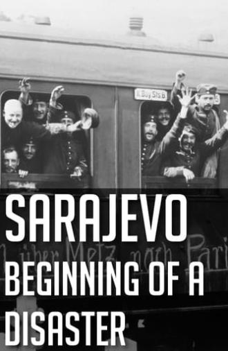 Sarajevo: Beginning of a Disaster (2014)