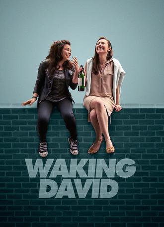 Waking David (2016)