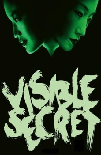 Visible Secret (2001)