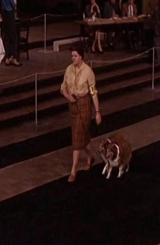 Estado de malestar (2019)