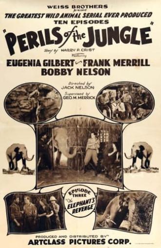 Perils of the Jungle (1927)