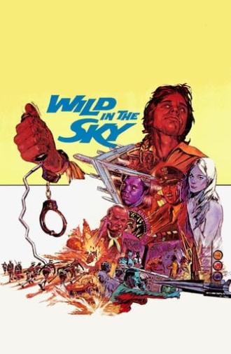 Wild in the Sky (1972)