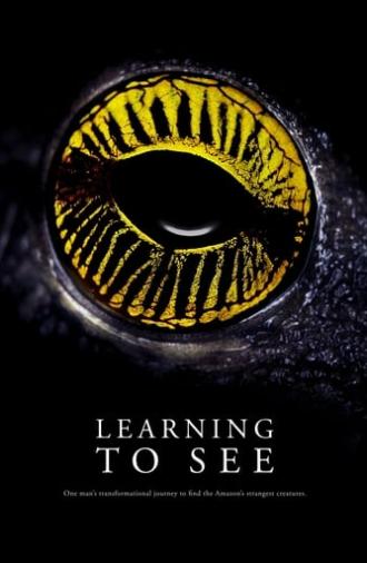 Learning To See (2016)